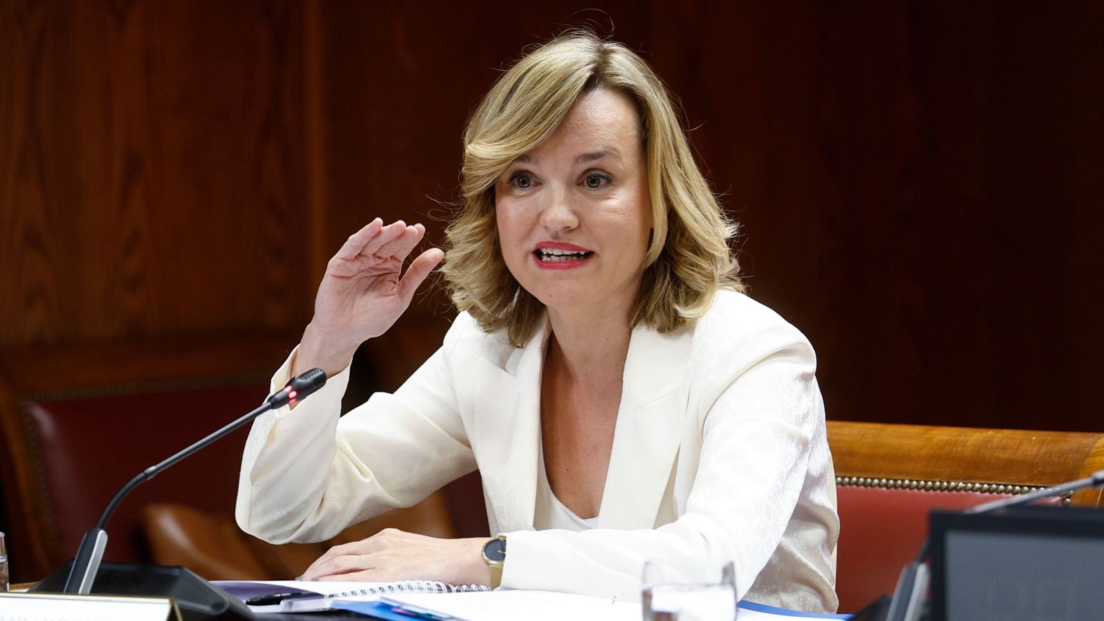 La ministra portaveu, Pilar Alegría, declara en la comissió d'investigació del cas Koldo