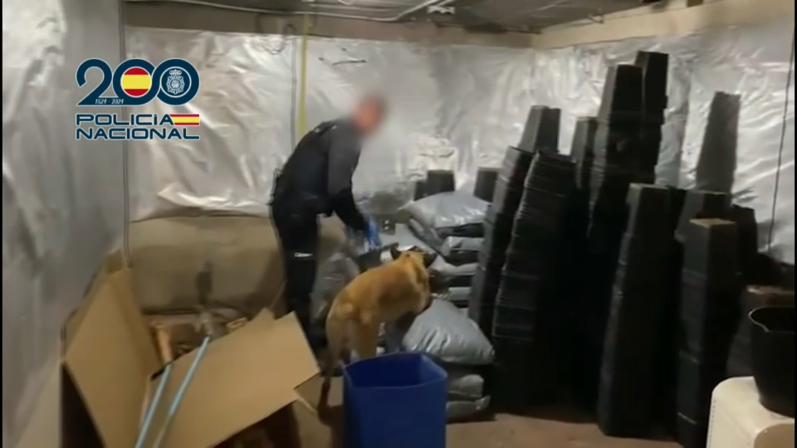 Laboratori clandestí descobert per la Policia Nacional