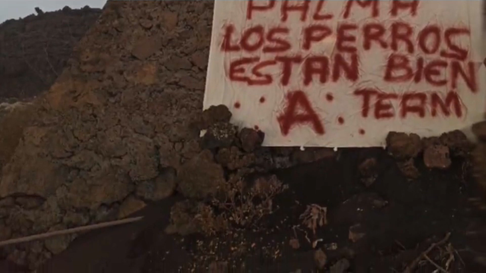 Cartell que ha aparegut en la zona on estaven els gossos