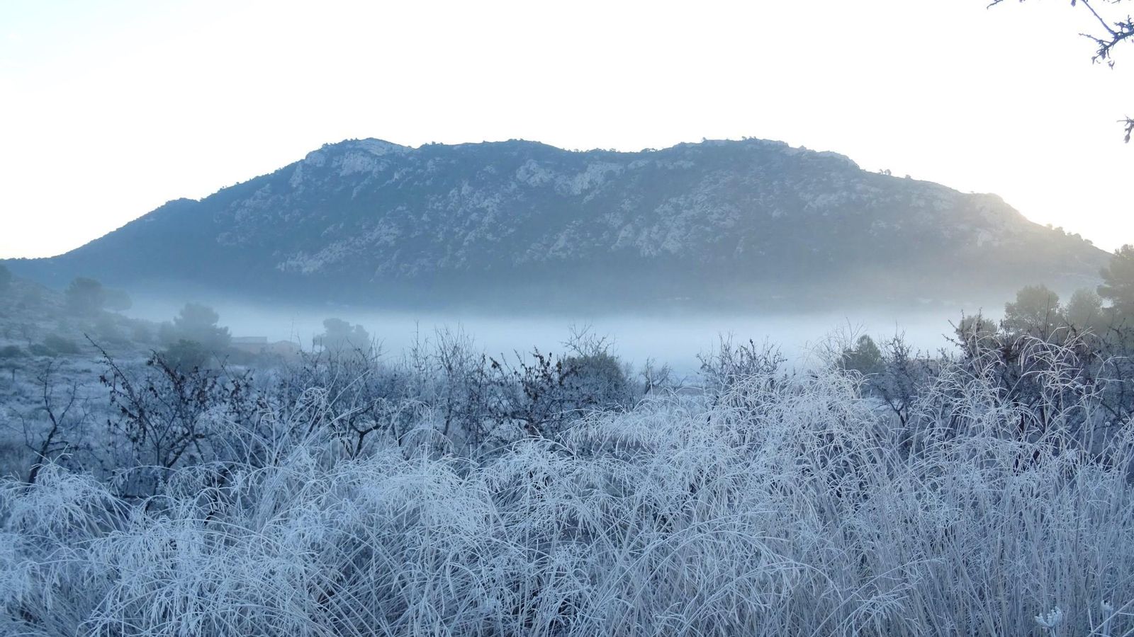 EL FONDÓ DE LES NEUS, EL VINALOPÓ MITJÀ