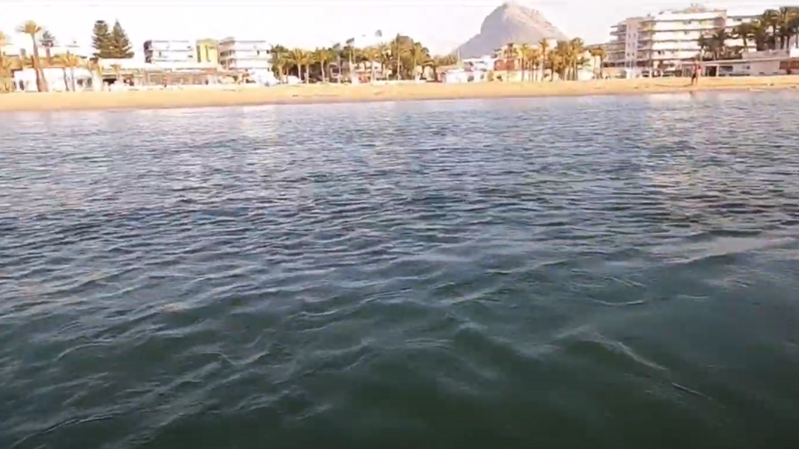 Imatges gravades per Ecologistes en Acció Marina Alta