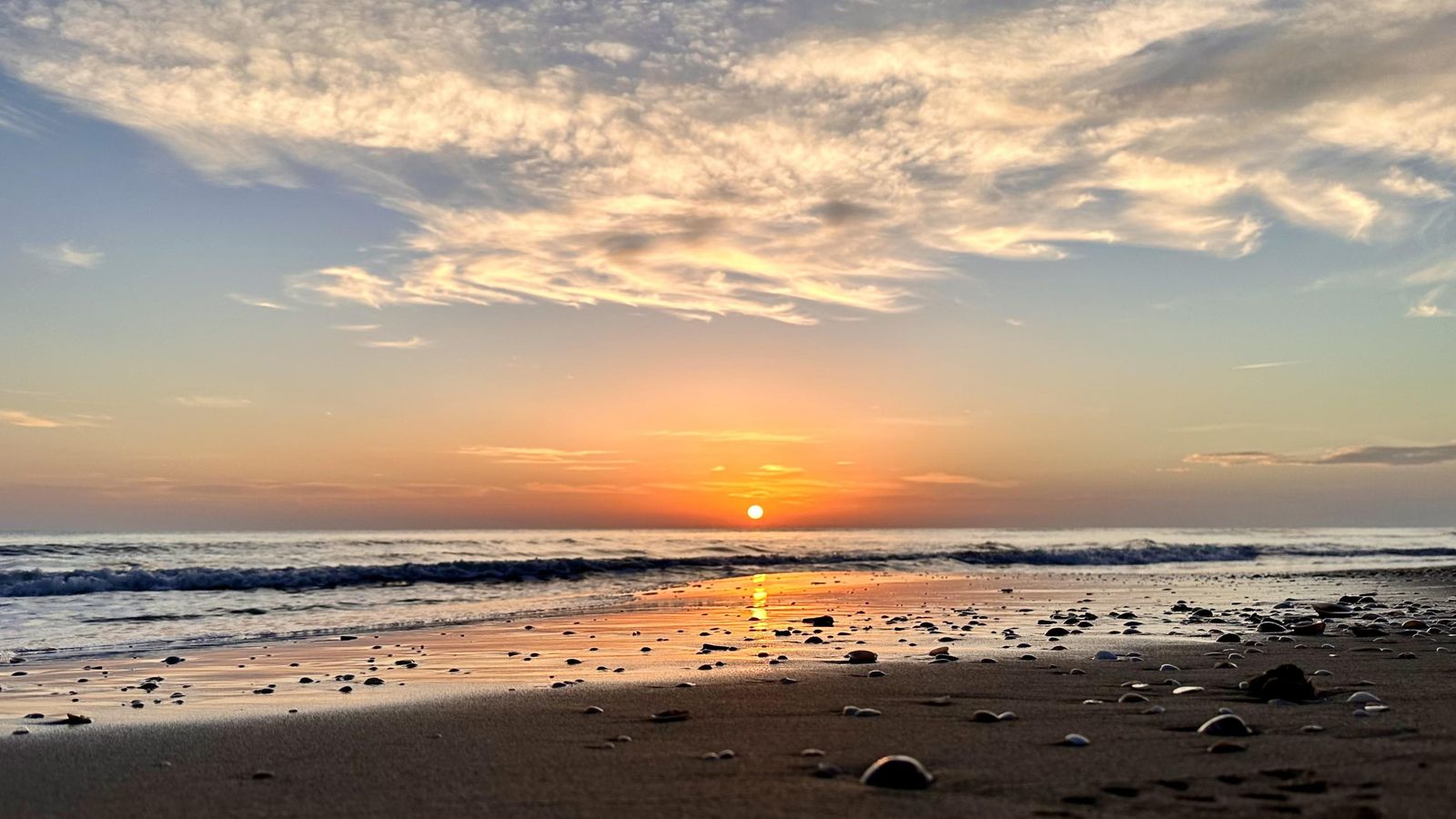 SUECA, LA RIBERA BAIXA