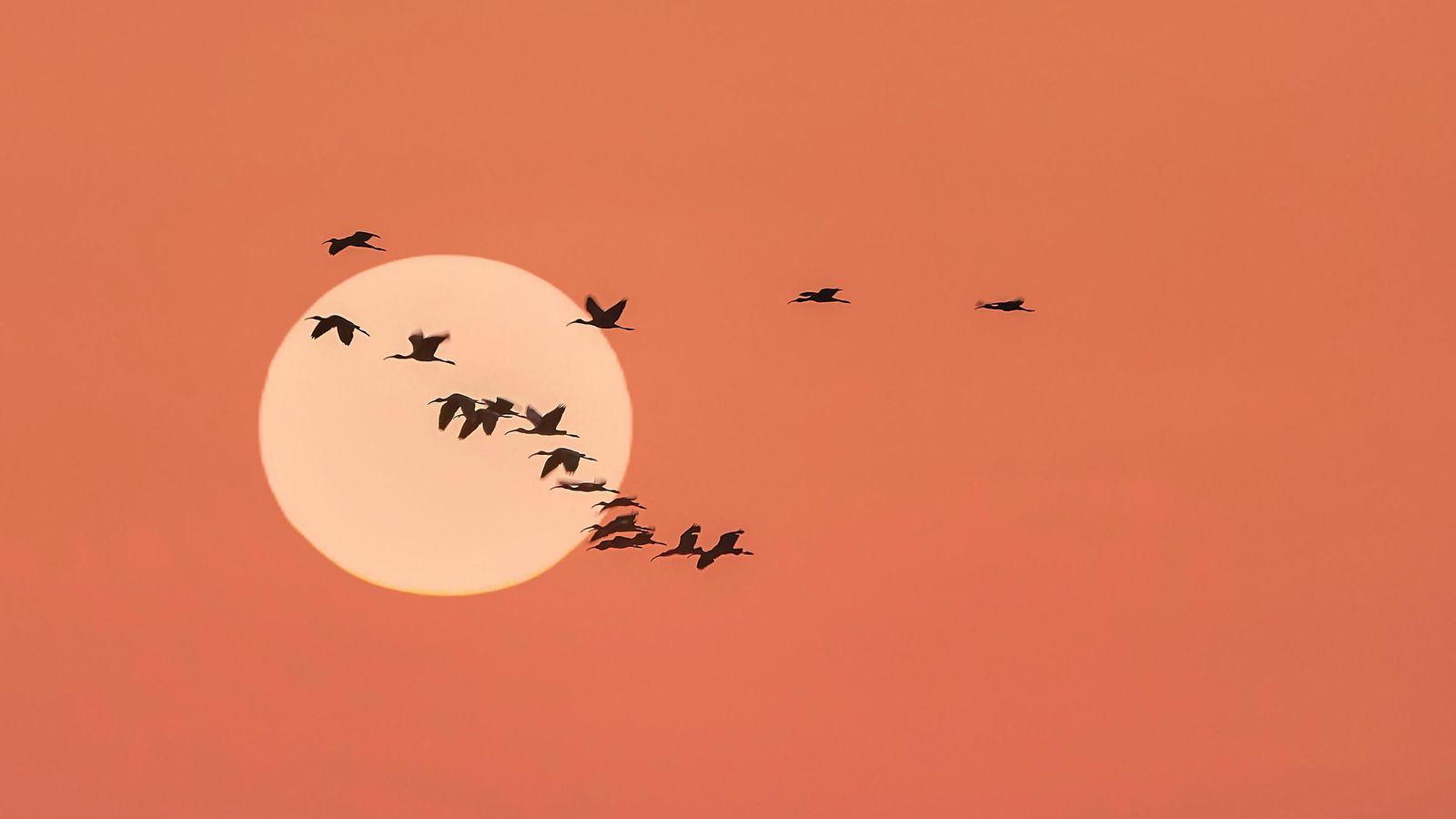 MASSAMAGRELL, L'HORTA NORD