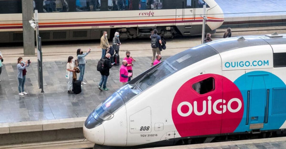 Ouigo cancela sus trenes por huelga