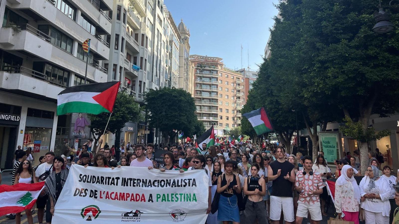 Sisena manifestació estatal de la Rescop a Palestina
