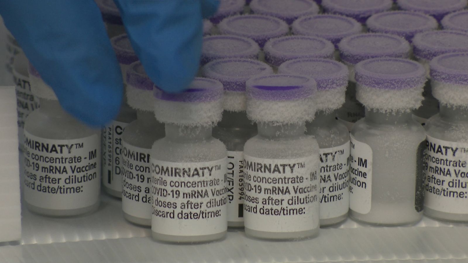 Vacunes extretes de les neveres de transport