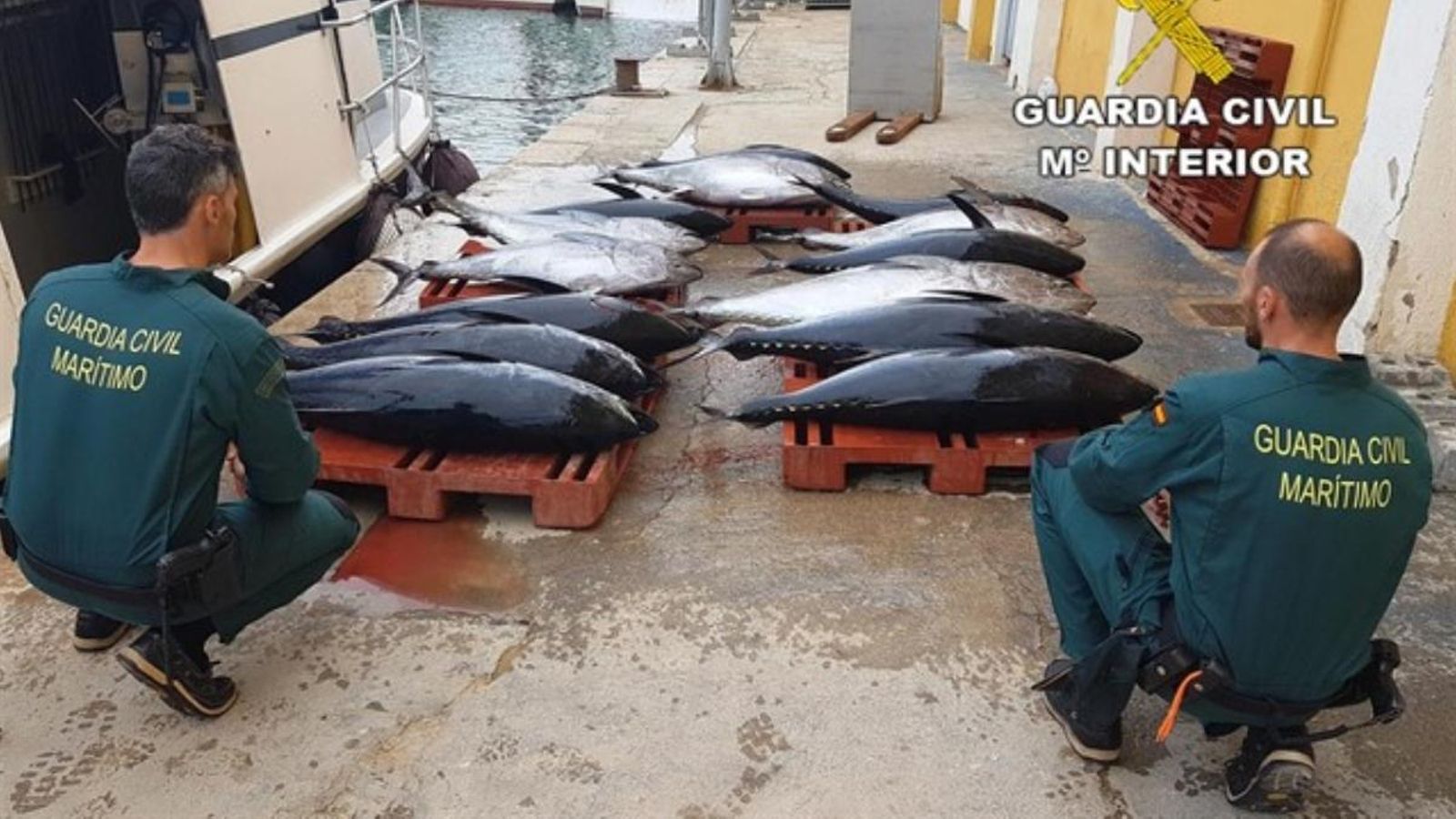 L'operació, que ha culminat amb 79 detinguts. Europa Press