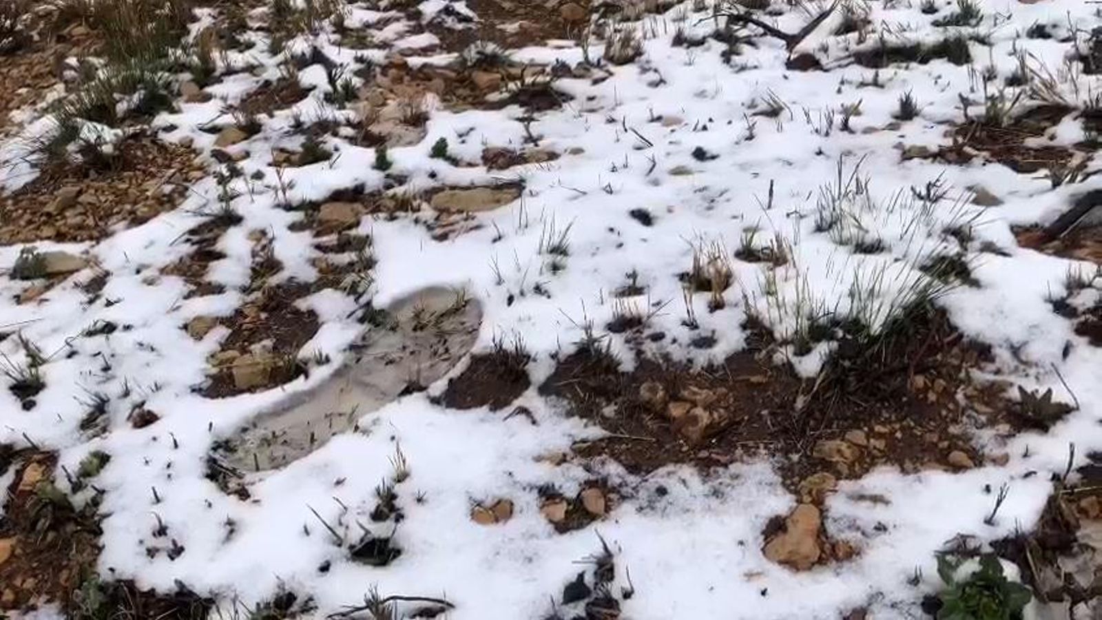 Neu que ha caigut aquest dissabte a Requena Neu que ha caigut aquest dissabte a Requena