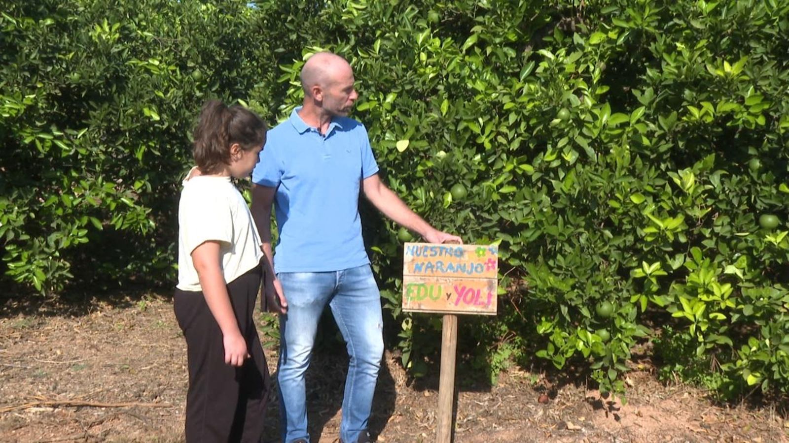 Un llaurador, al seu camp amb arbres apadrinats