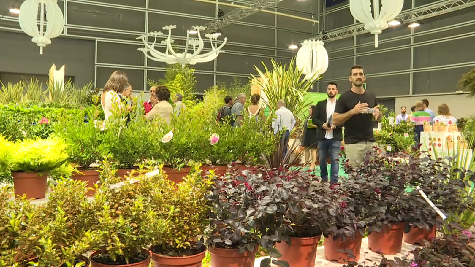 Iberflora transforma l'edició d'enguany en virtual