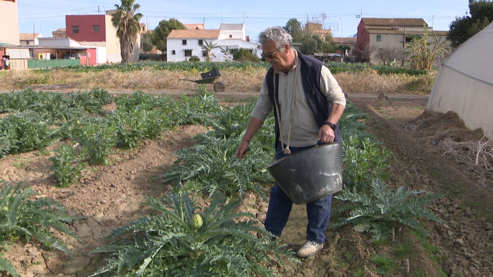 Un agricultor treballant el camp a la Punta