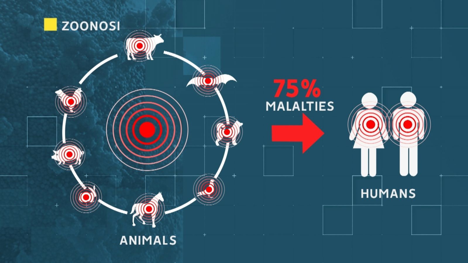 La zoonosi és la transmissió de malalties animals als humans
