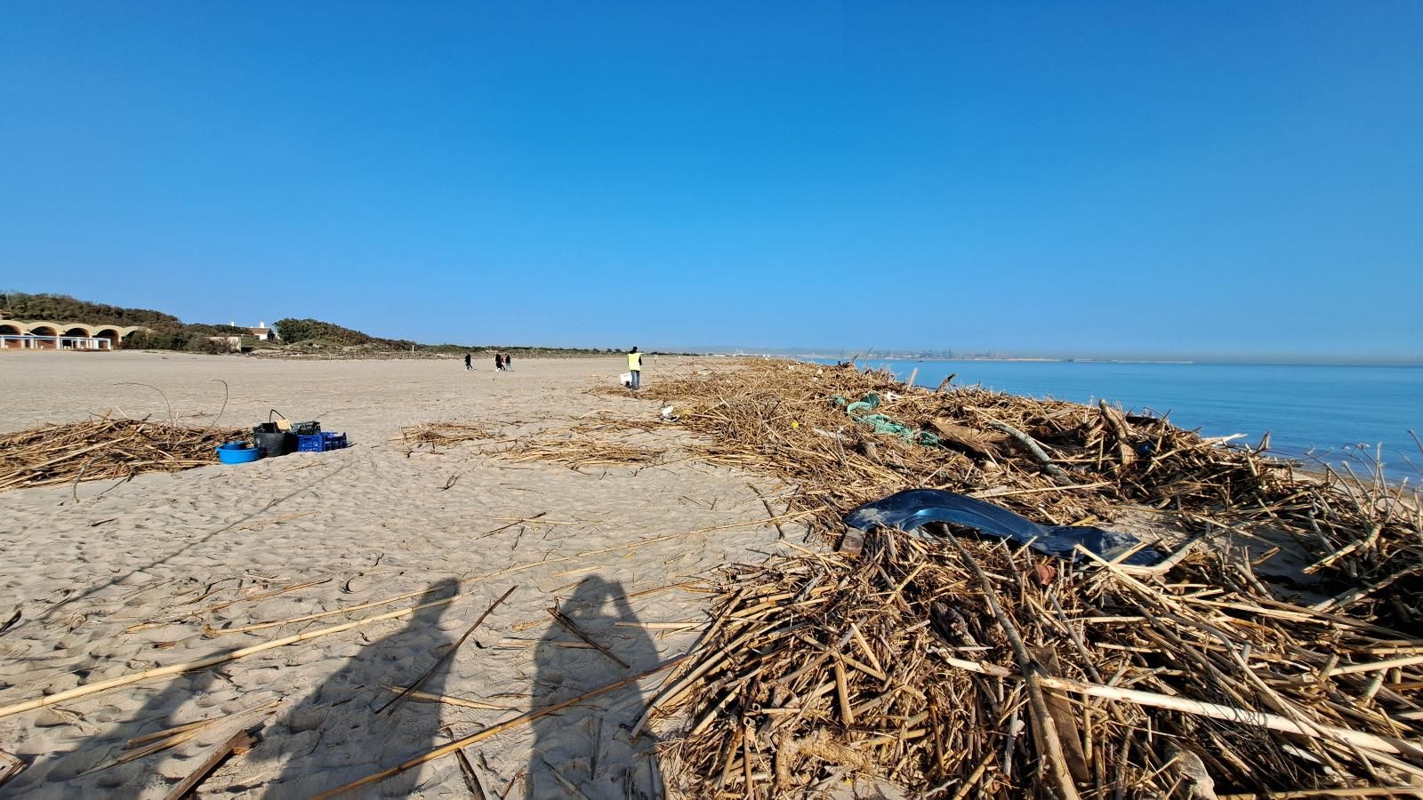 L'Ajuntament de València enceta la neteja de les platges afectades per la dana