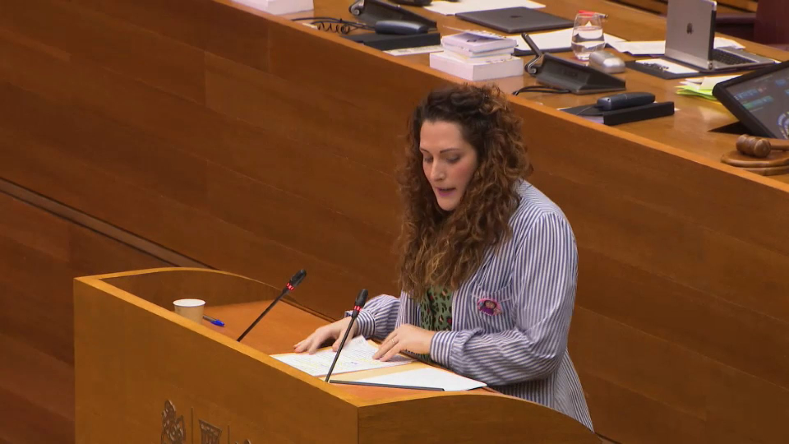 Marian Campello amb el guardapols d'aparadora de sa mare a les Corts Valencianes