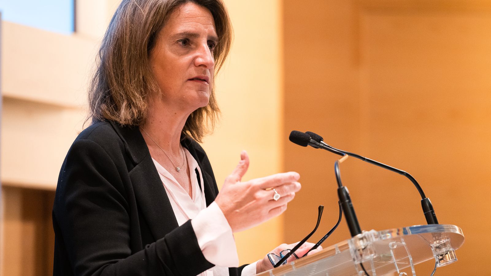 La vicepresidenta tercera i ministra per la Transició Ecològica i el Repte Demogràfic, Teresa Rivera, en una imatge d'arxiu