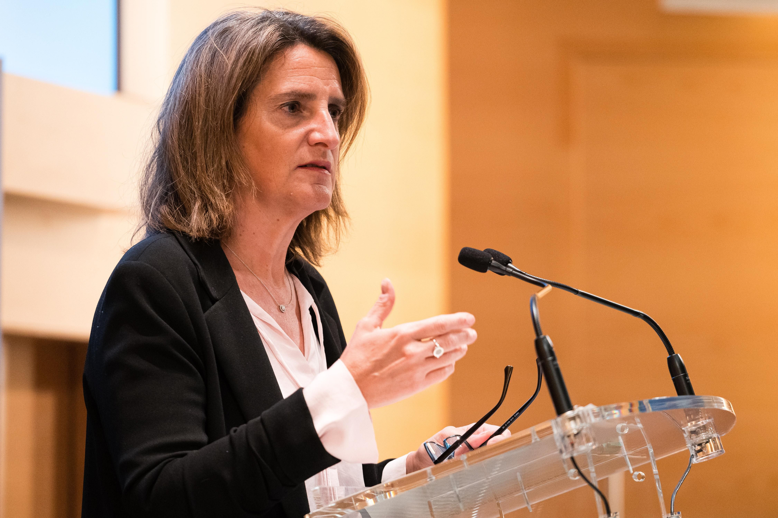 La vicepresidenta tercera i ministra per la Transició Ecològica i el Repte Demogràfic, Teresa Ribera, en una imatge d'arxiu La vicepresidenta tercera i ministra per la Transició Ecològica i el Repte Demogràfic, Teresa Rivera, en una imatge d'arxiu
