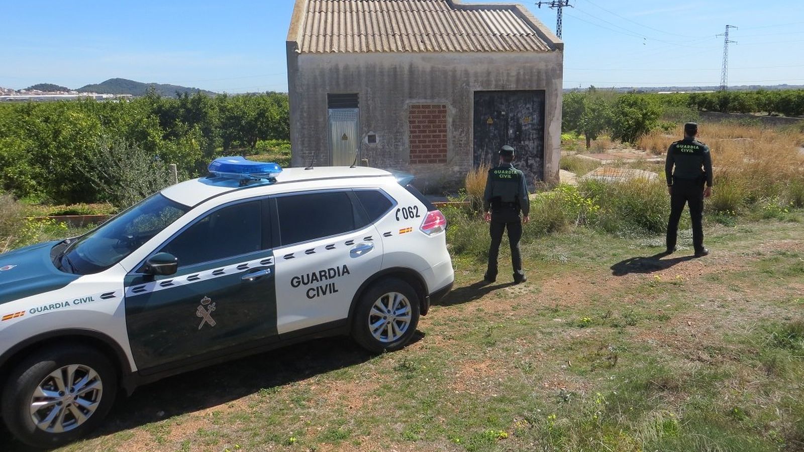 Investiguen dues persones acusades de furtar 10.000 kg de clemenules a Sagunt