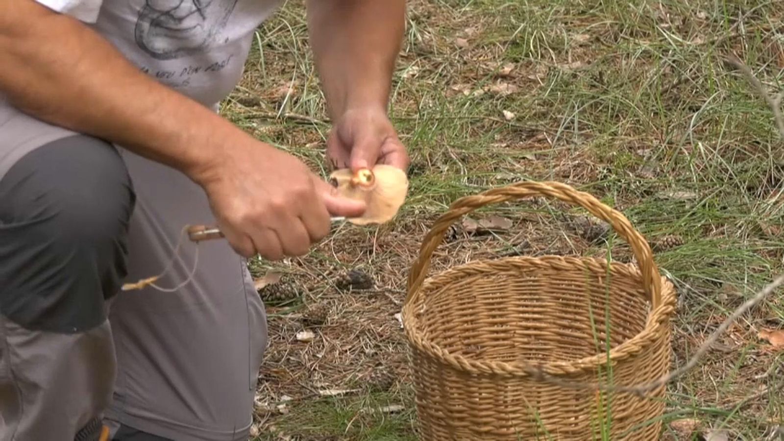 S\'incorporen un helicòpter i una unitat canina a la recerca del boletaire desaparegut a El Toro