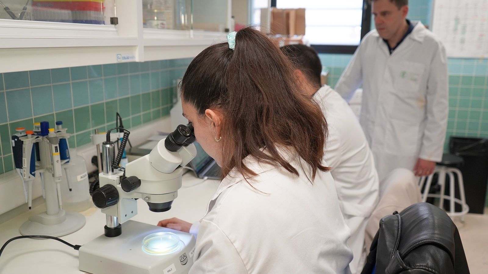 Investigadores de la Universitat Catòlica de València