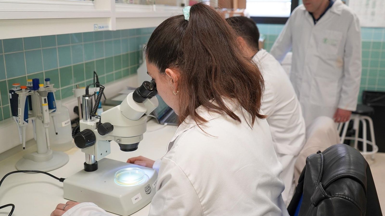 Investigadores de l'UCV