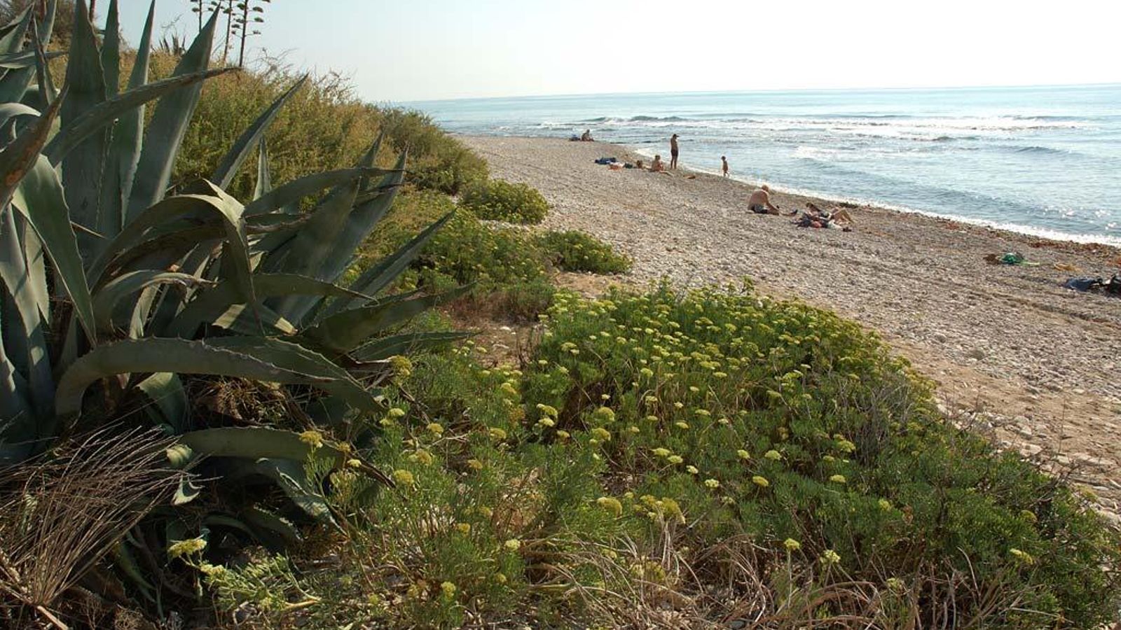 Platja d'Aiguadoliva, a Vinaròs