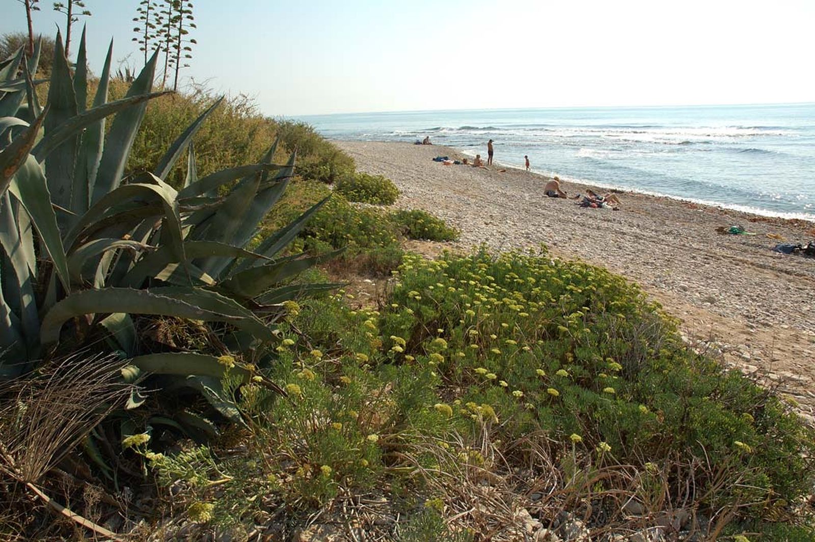 Platja d'Aiguadoliva, a Vinaròs