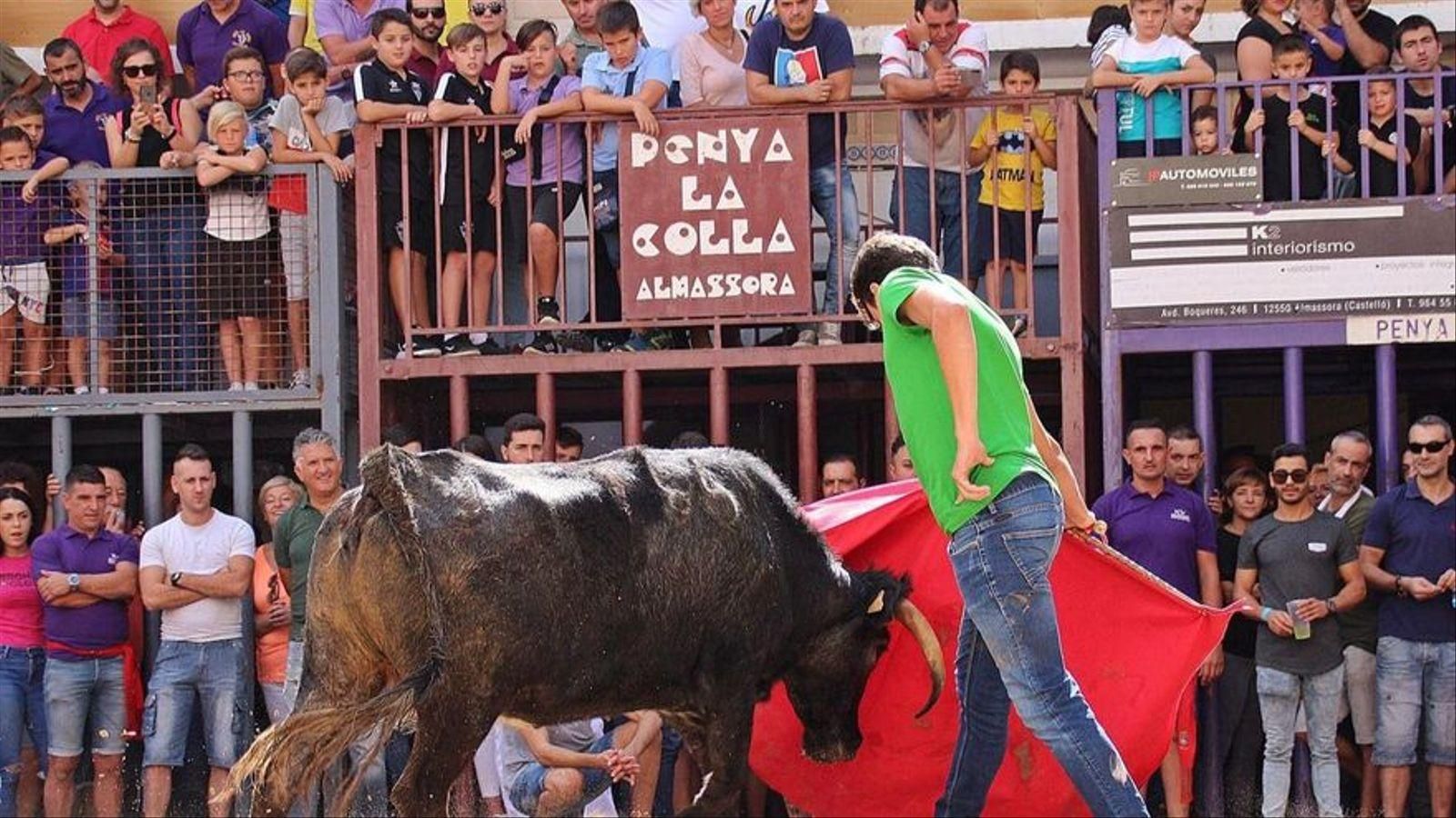 Bous al carrer a les festes d'Almassora l'octubre de 2019, abans de la pandèmia