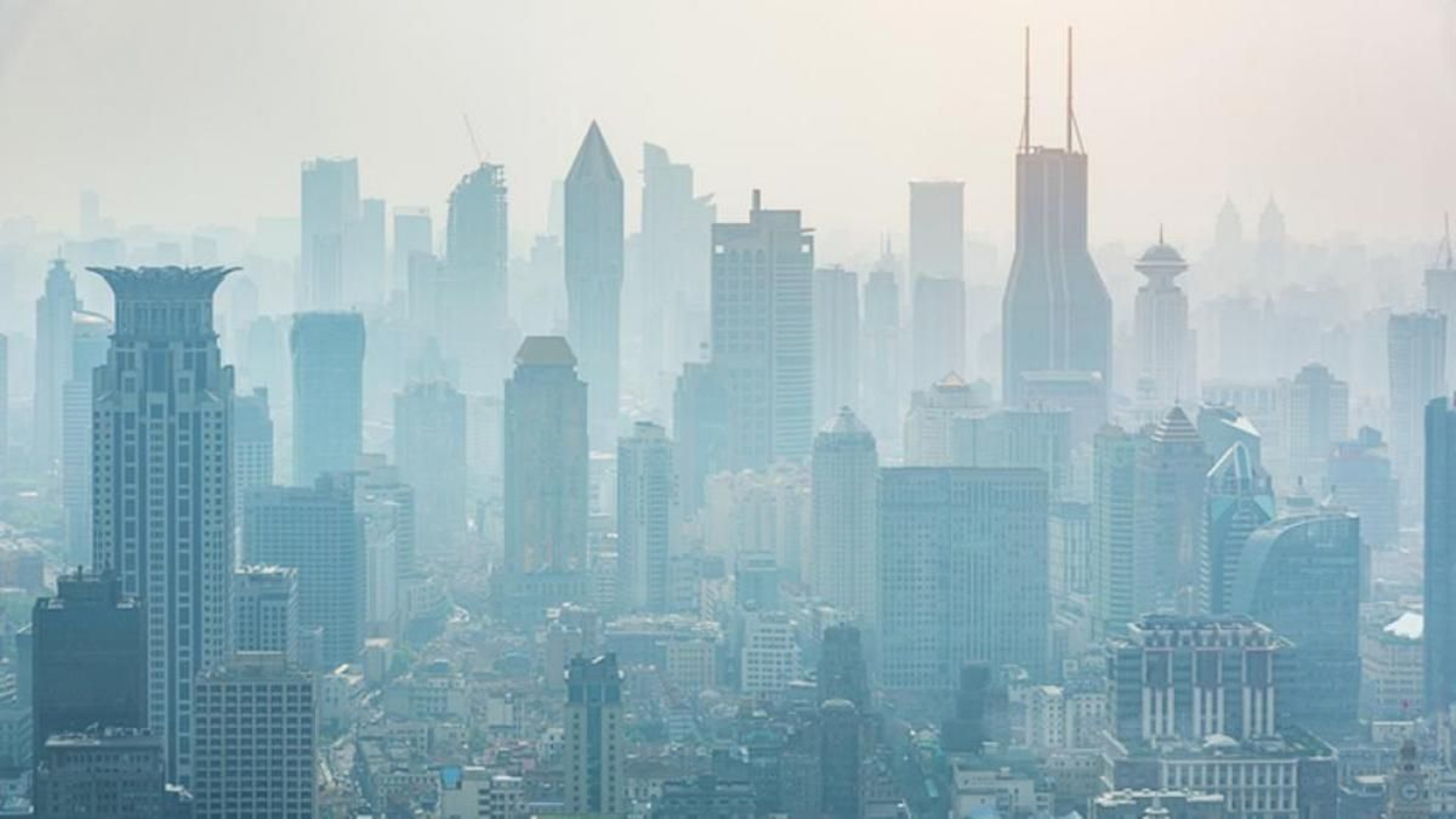 Soberurbanització i absència de vegetació en la ciutat