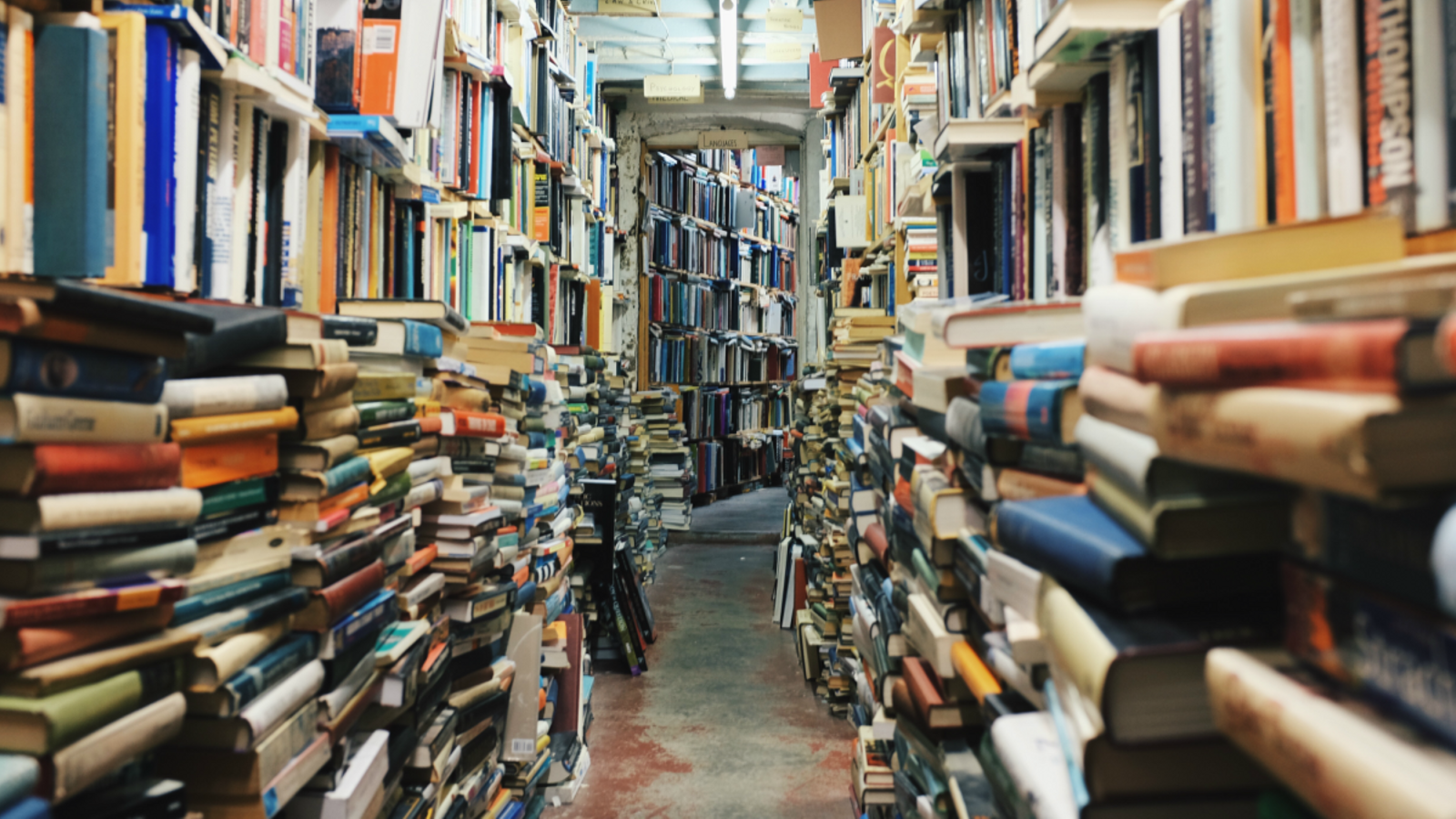 13 recomanacions literàries per al Dia del Llibre