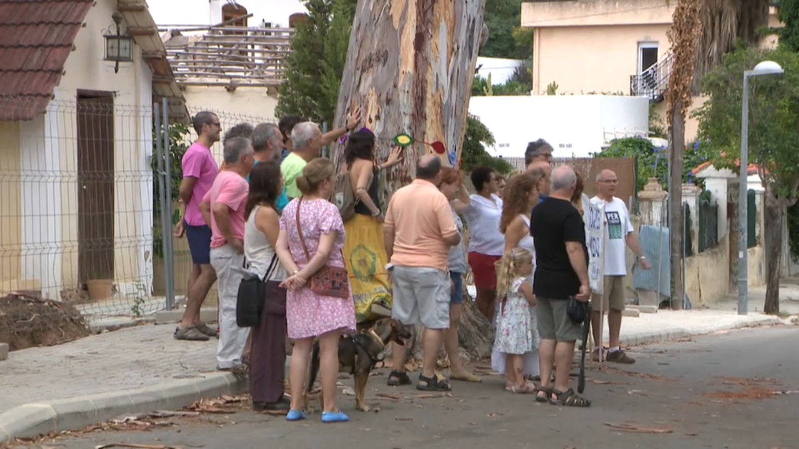 Els veïns s'han manifestat al voltant de l'eucaliptus