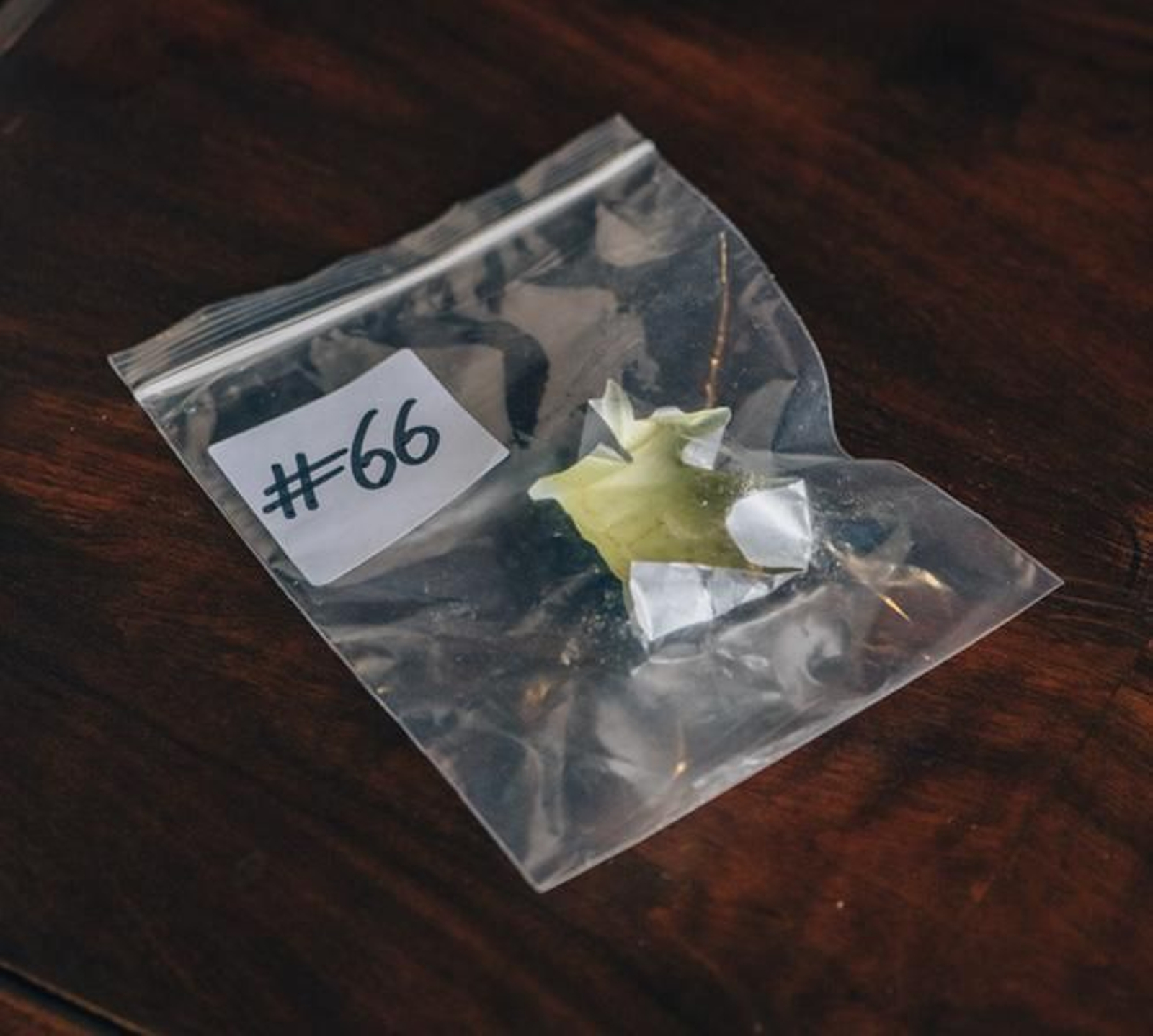 Una de les proves incriminatòries presentades al juí de la campanya: restes d'una pastilla de caldo