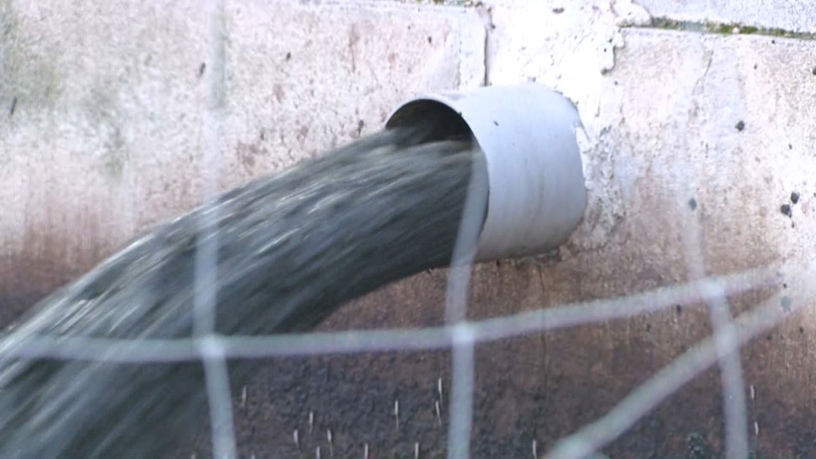 Purins generats a les granges