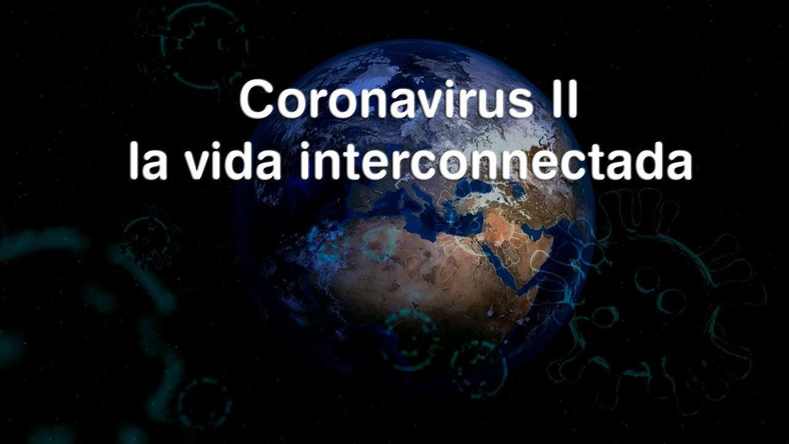 04.04.2020 | Coronavirus, la vida interconnectada?
