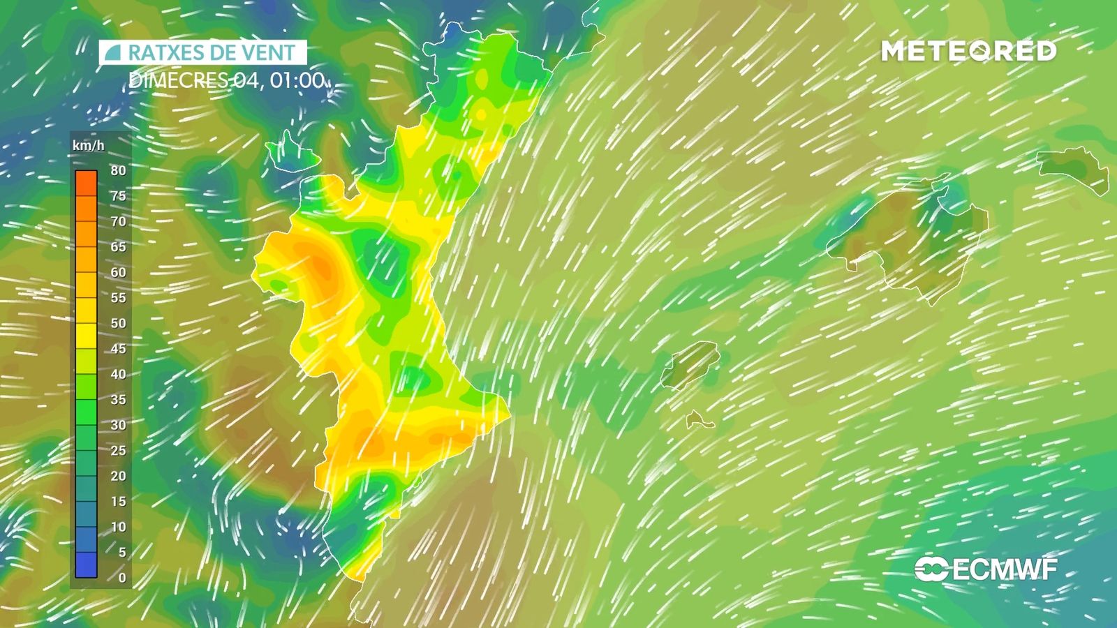 VENT PERSISTENT DE GREGAL AMB RATXES FORTES