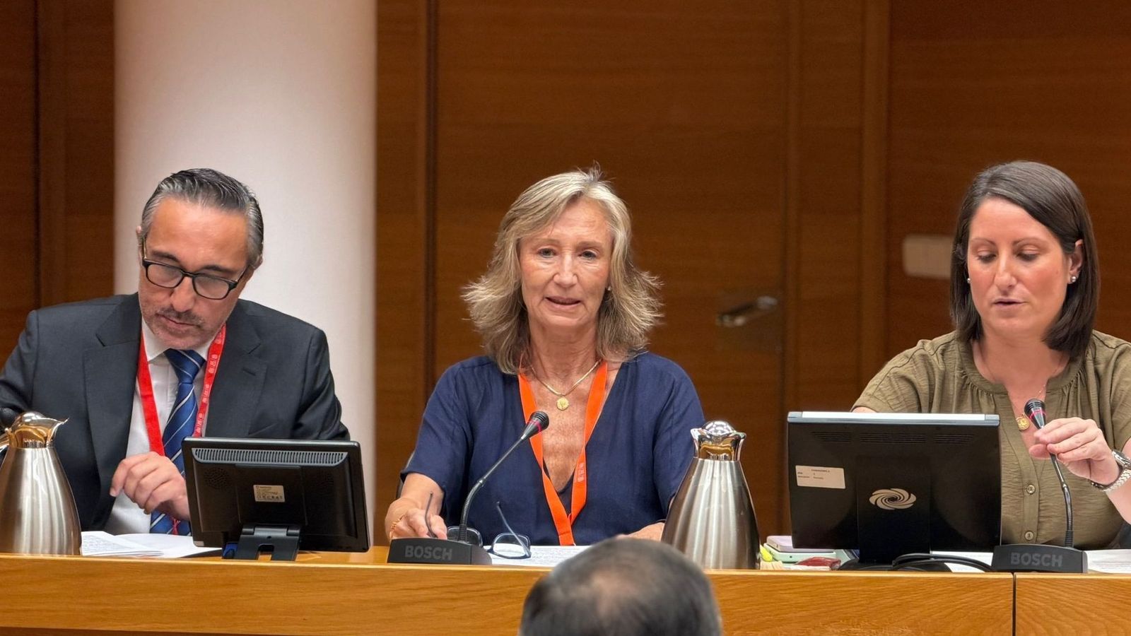 María Pérez-Hickman, en la comissió d'investigació de les Corts