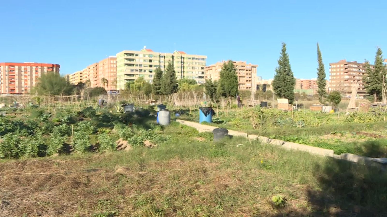 Imatge d'arxiu d'hort a Benimaclet