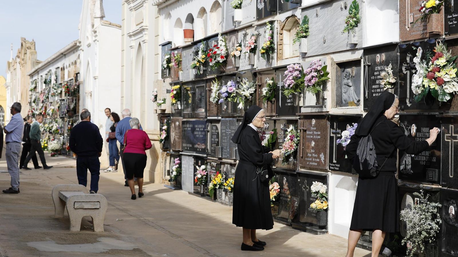 El cementeri de Catarroja, este dissabte