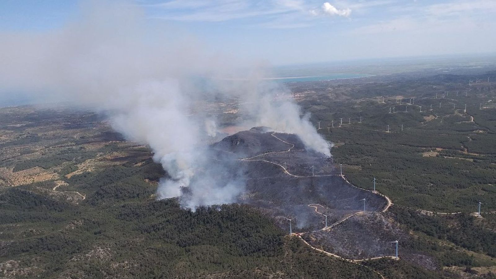 Un incendi forestal al Perelló, al Baix Ebre, crema 200 hectàrees
