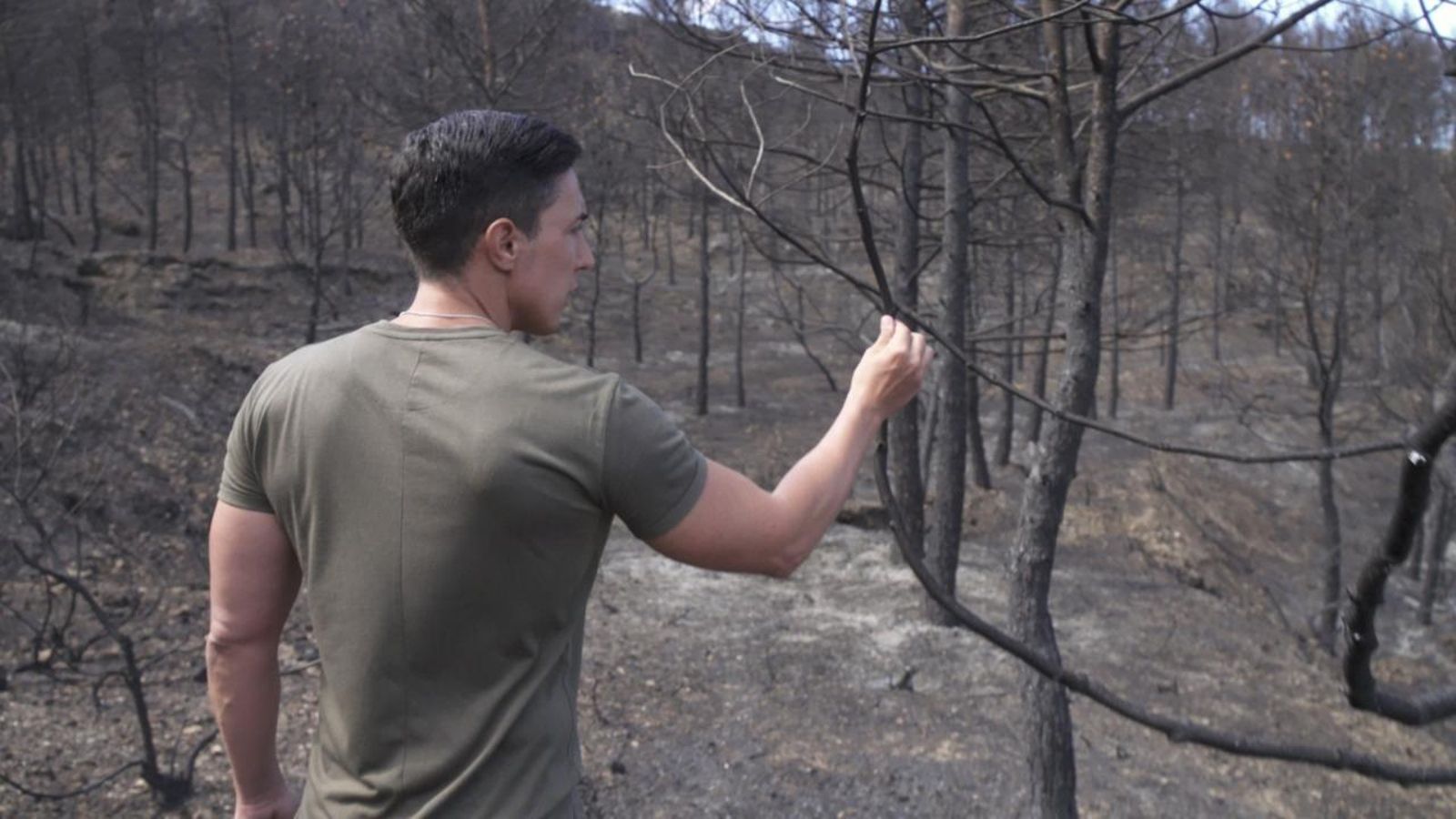 Zoom | Incendis forestals