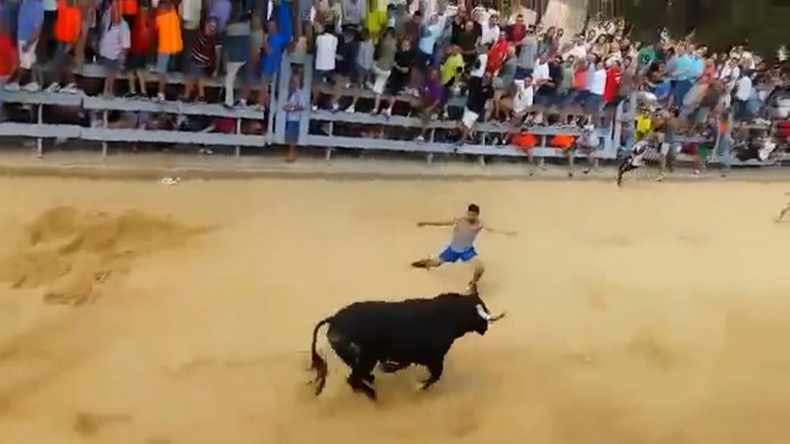 Bous embolats a Puçol