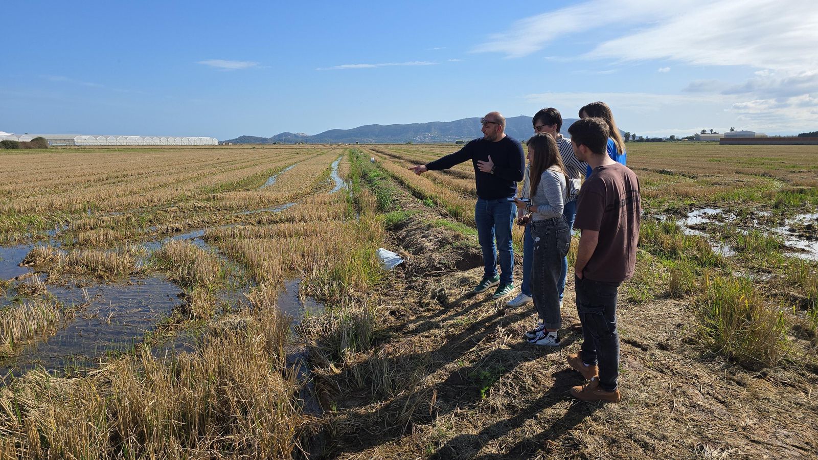En el projecte Go Strawmat col·laboren la Unió Llauradora, Agrobelga, Aimplas i Cesefor En el projecte Strawmat col·laboren la Unio Llauradora, Agrobelga, Aimplas i Cesefor