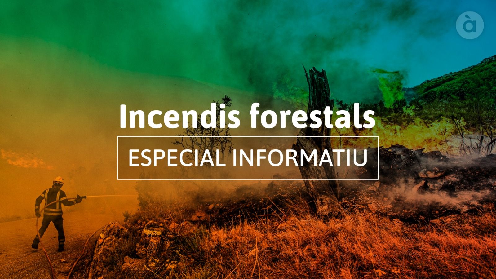 Especials Informatius a les 12 hores