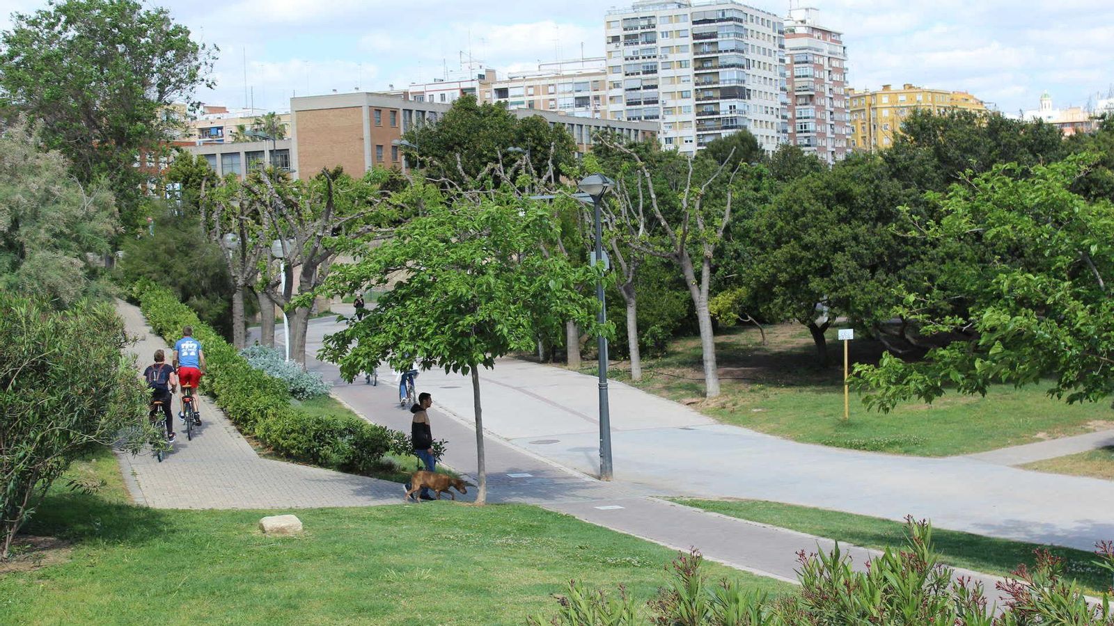 Jardí del Túria de València Jardí del Túria de València