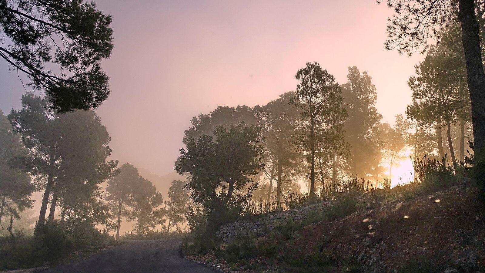 SERRA DE BÈRNIA
