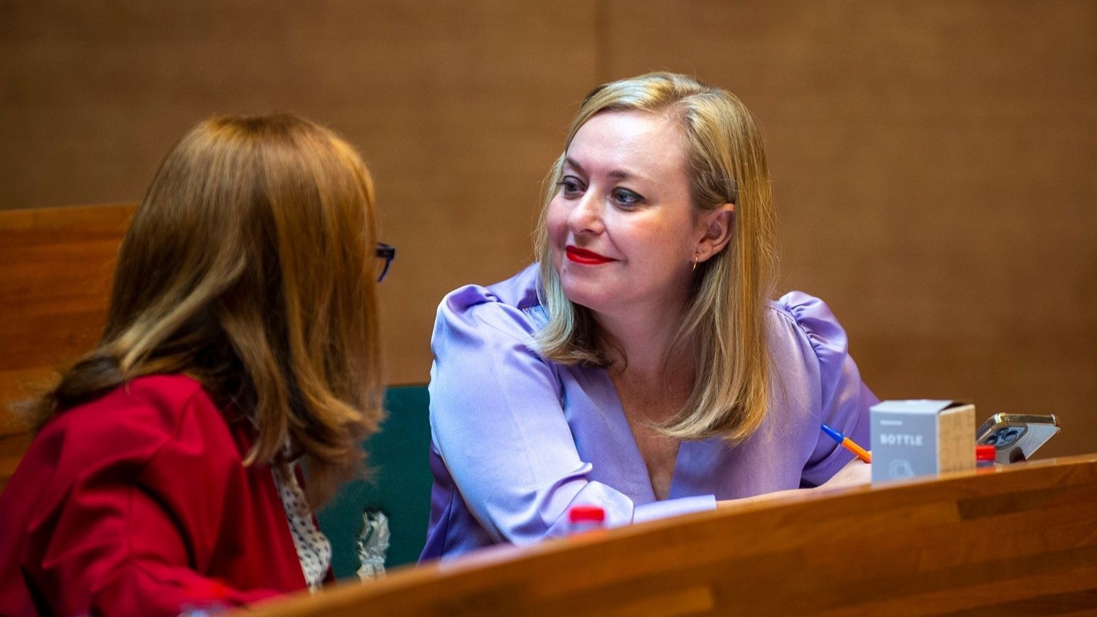 La vicepresidenta primera de la Diputació de València, Natalia Enguix