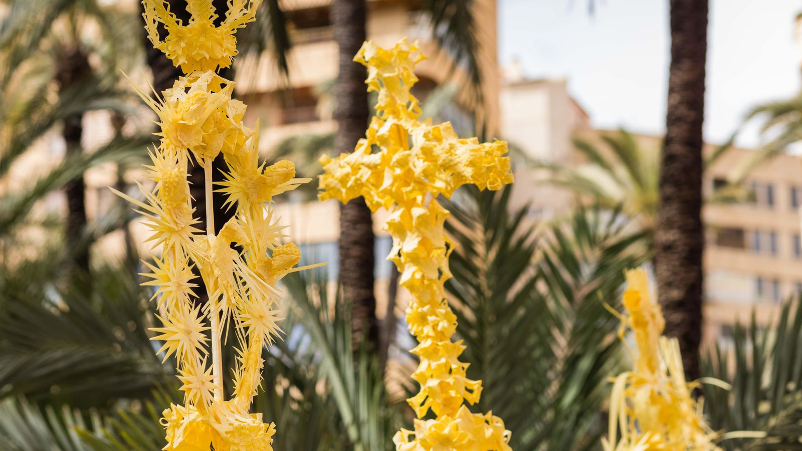 Imatge: José García Domene