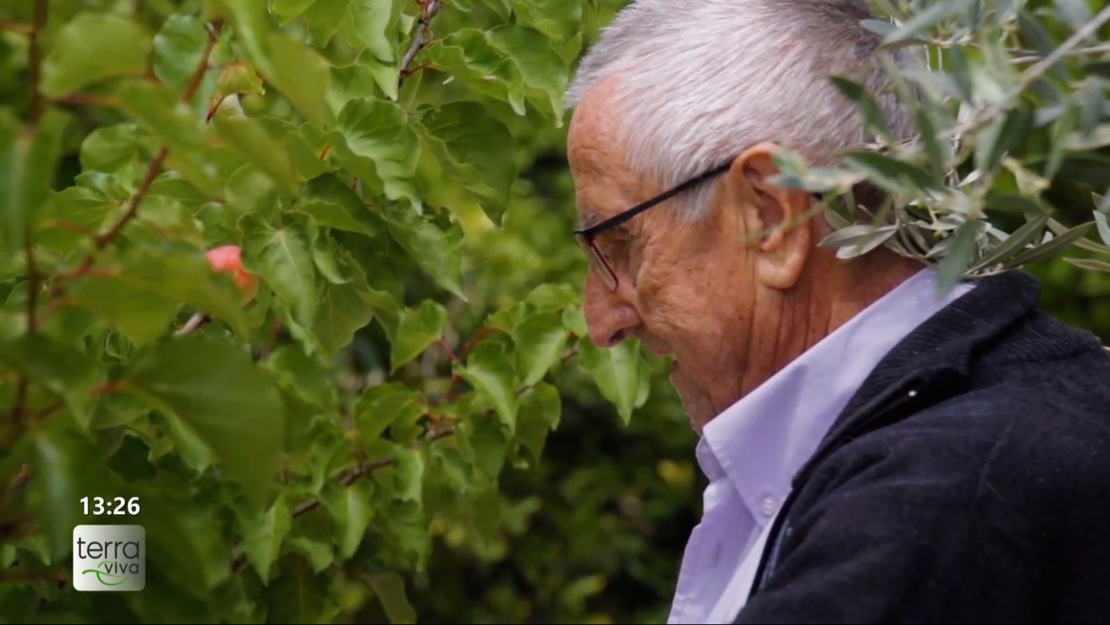 Àngel, veí d'Orba: “Mai és tard per a ensenyar-te"