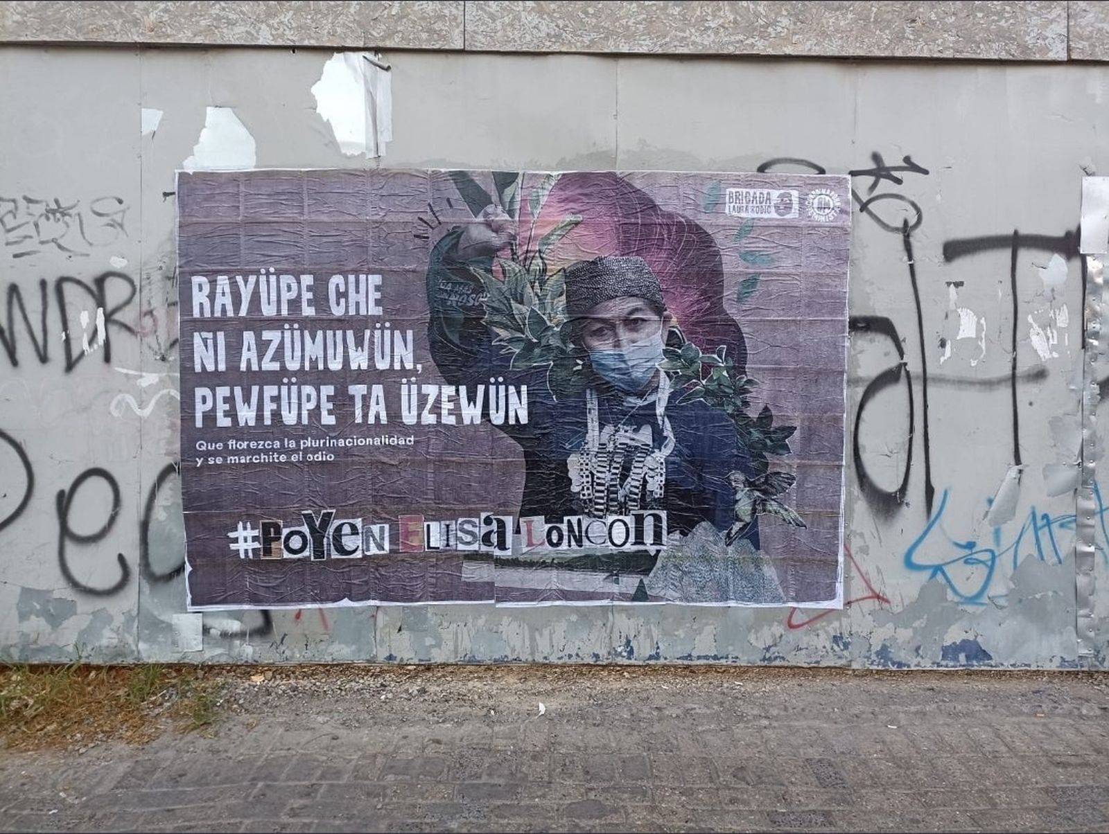 Acció en suport a l'activista maputxe Elisa Loncon a Xile