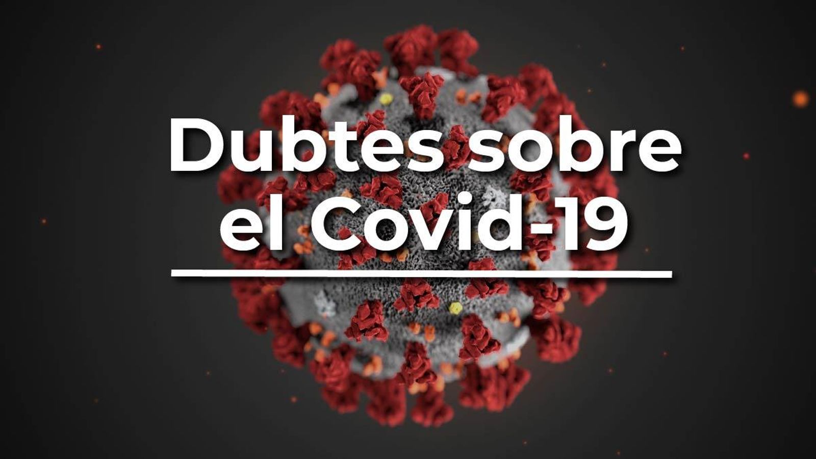 Preguntes i respostes sobre la Covid-19