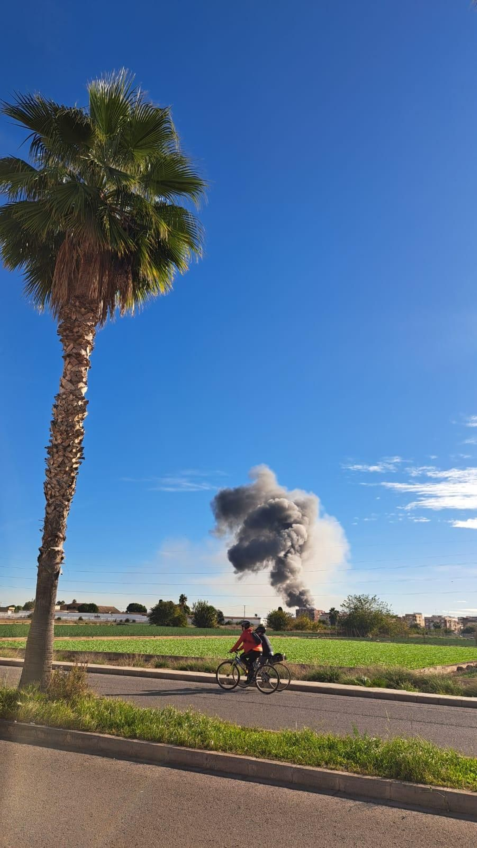 Incendi ubicat a Alboraia